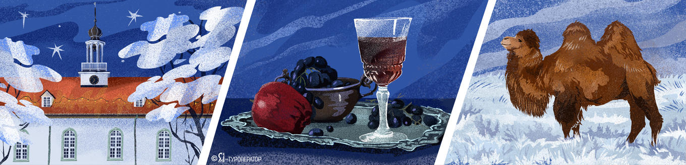 Зимняя Орда: виноградники Волгограда и тайны Элисты